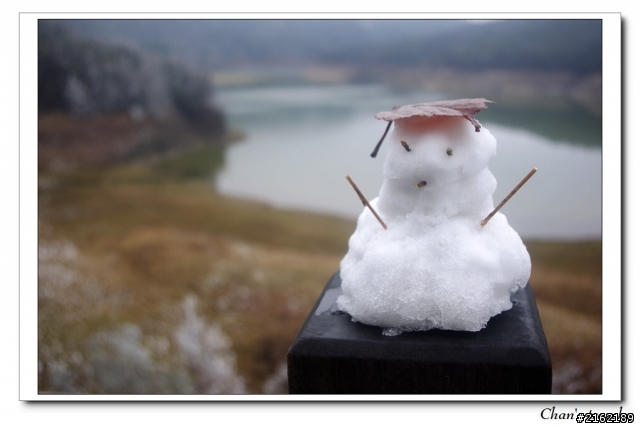 金旺與我的太平山雪景之旅
