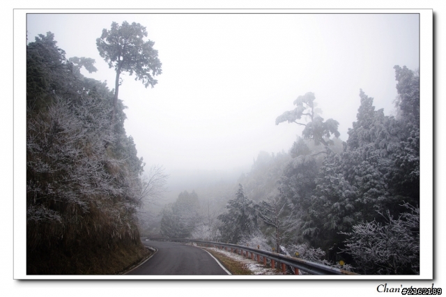 金旺與我的太平山雪景之旅
