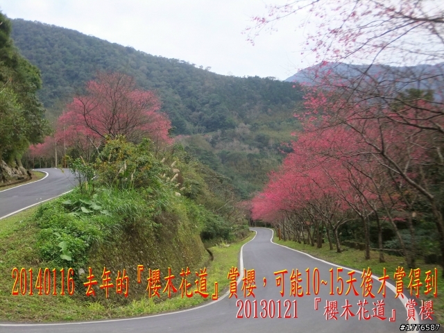20140116 烏來福山賞櫻賞瀑之旅