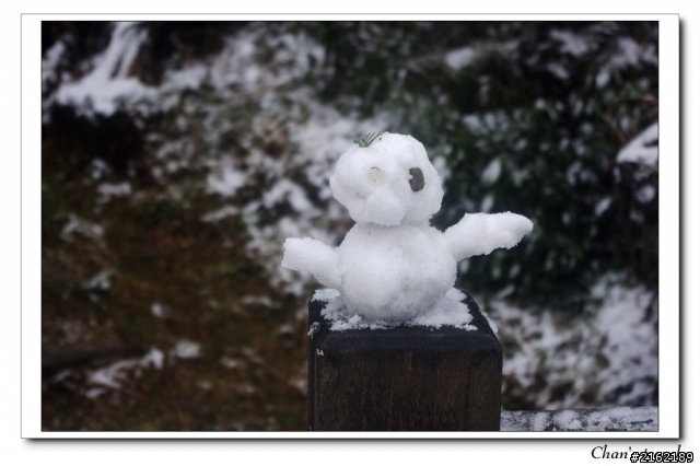 金旺與我的太平山雪景之旅