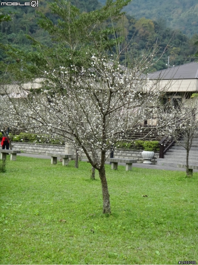 告別2013~~花東之旅
