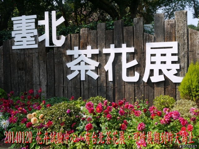 20140120 陽明山花季賞櫻竹子湖賞芋之旅