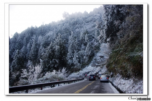 金旺與我的太平山雪景之旅