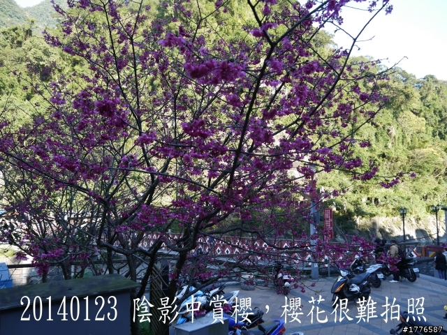 20140123 桶后之旅