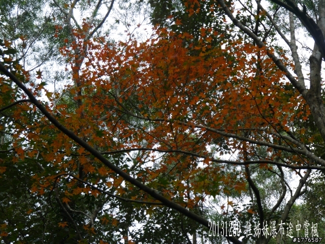20131230 雲森瀑布賞楓賞瀑之旅