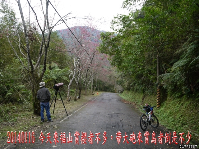 20140116 烏來福山賞櫻賞瀑之旅