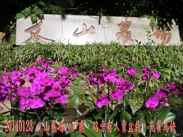 20140123 桶后之旅