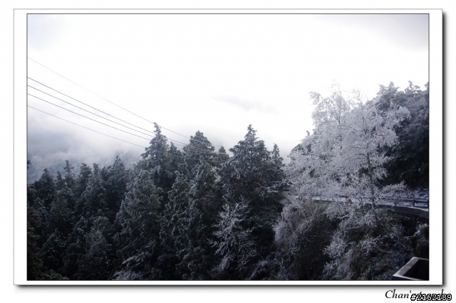 金旺與我的太平山雪景之旅