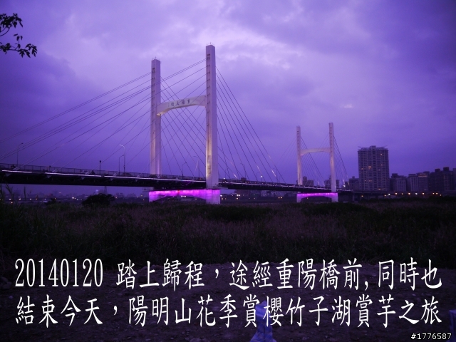 20140120 陽明山花季賞櫻竹子湖賞芋之旅