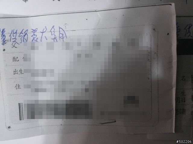 急尋 失主 及 好心領養人 -紅貴賓 公 成犬(已被領養了,請勿再來電)