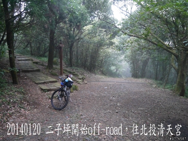 20140120 陽明山花季賞櫻竹子湖賞芋之旅