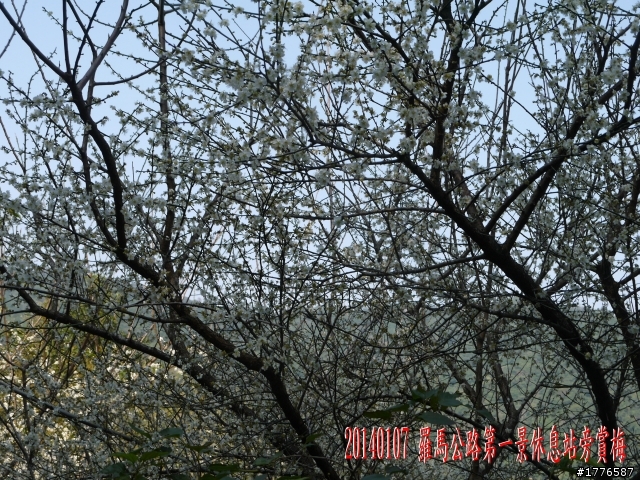 20140107 羅馬公路之旅