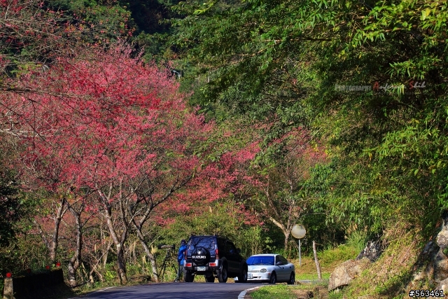 Tamron SP 150-600mm簡易開箱加實拍。