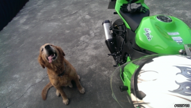 mobile01潛水多年首發 2013 zx-6r