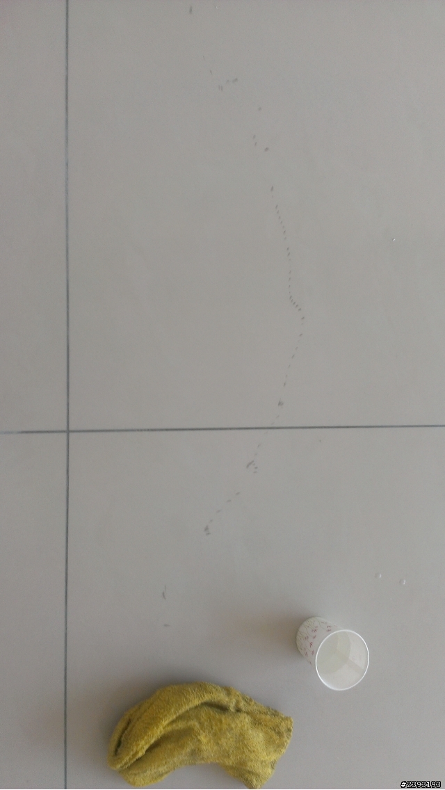 拋光地磚污染痕跡清潔方法