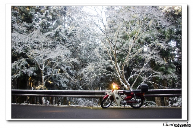 金旺與我的太平山雪景之旅