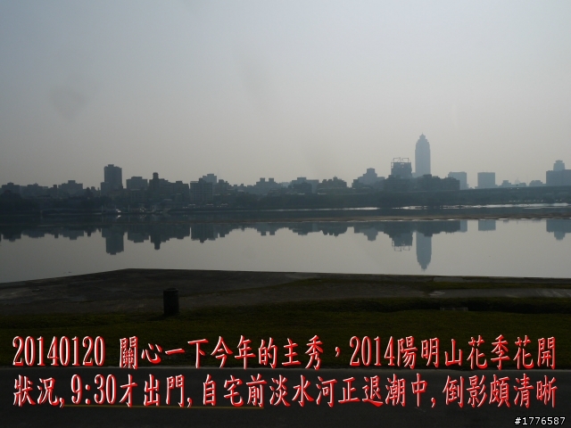 20140120 陽明山花季賞櫻竹子湖賞芋之旅
