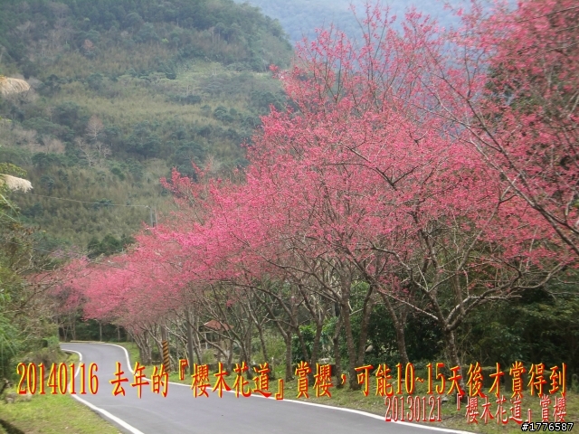 20140116 烏來福山賞櫻賞瀑之旅