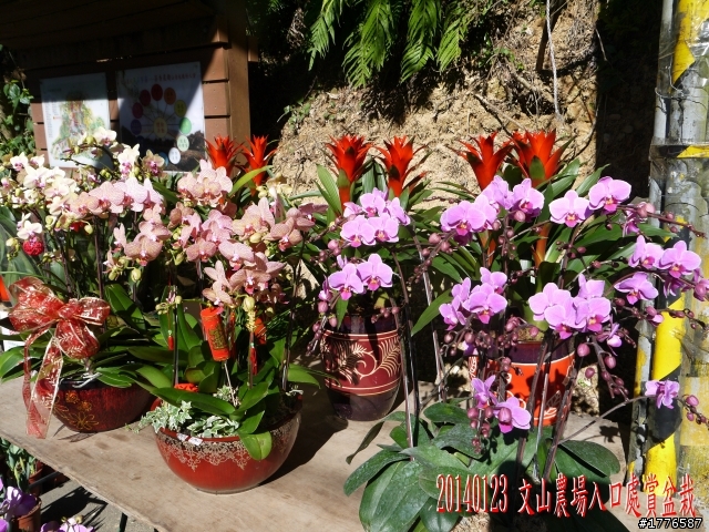 20140123 桶后之旅