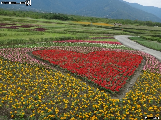 告別2013~~花東之旅