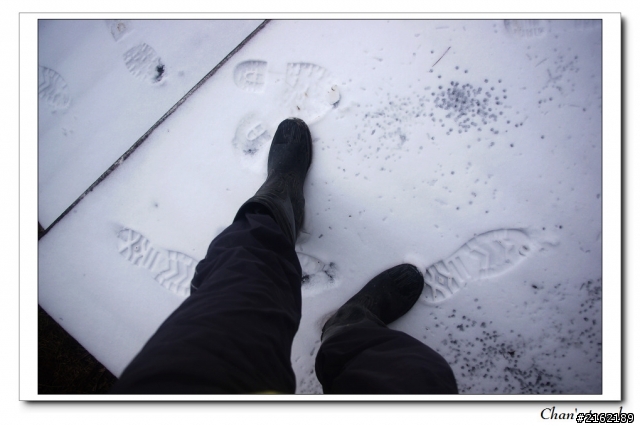 金旺與我的太平山雪景之旅