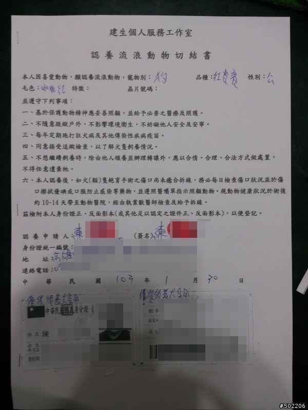 急尋 失主 及 好心領養人 -紅貴賓 公 成犬(已被領養了,請勿再來電)
