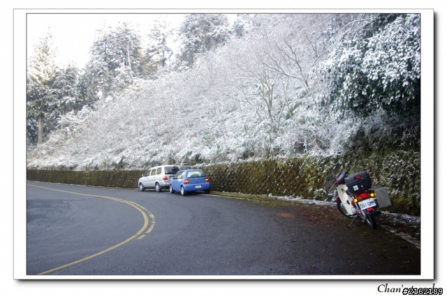 金旺與我的太平山雪景之旅