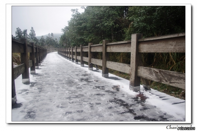 金旺與我的太平山雪景之旅
