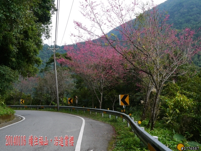 20140116 烏來福山賞櫻賞瀑之旅