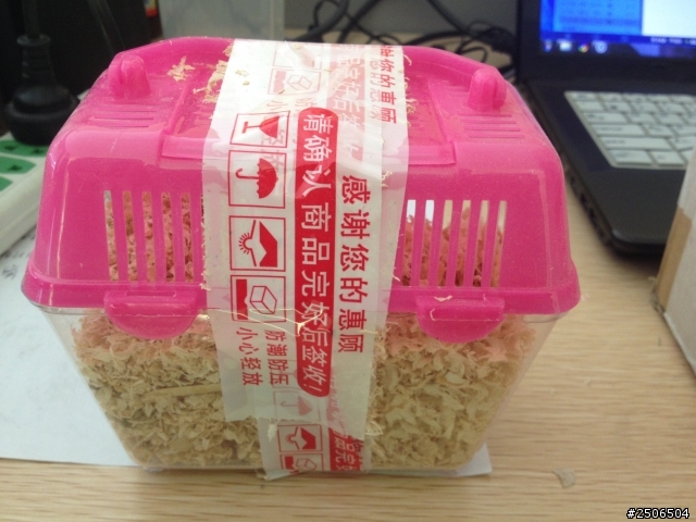 淘寶入手兩隻倉鼠開箱