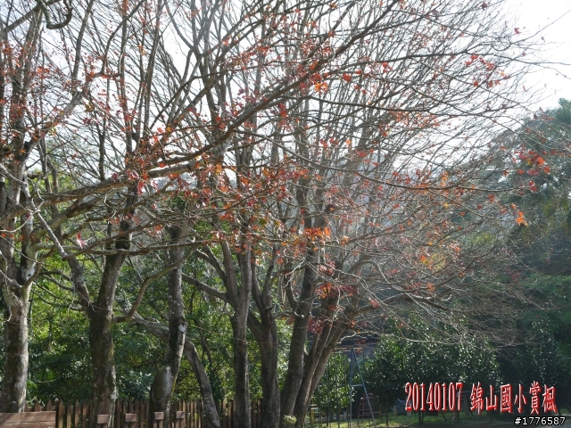 20140107 羅馬公路之旅