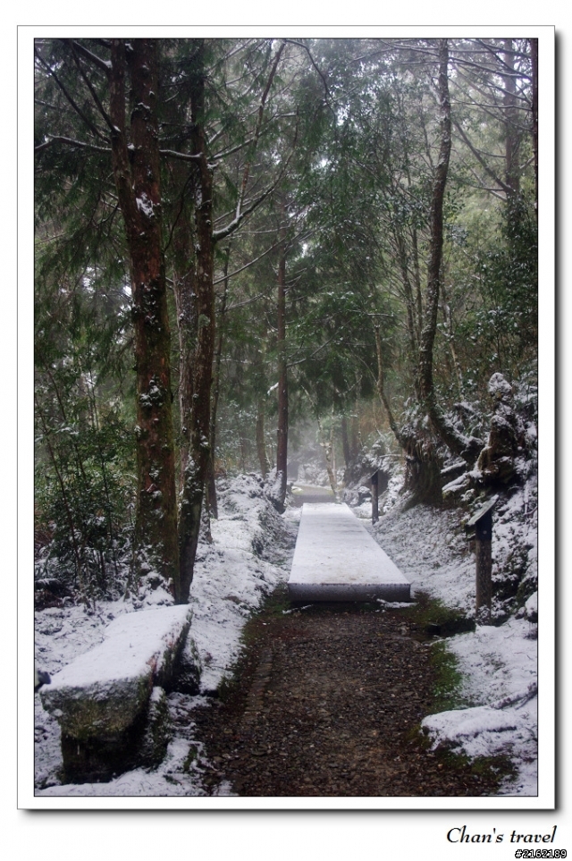 金旺與我的太平山雪景之旅