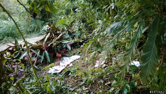 我想 我要發的主題應該和攝影的觀念有相關吧 給去山上拍煙火的看看你們留下的風景