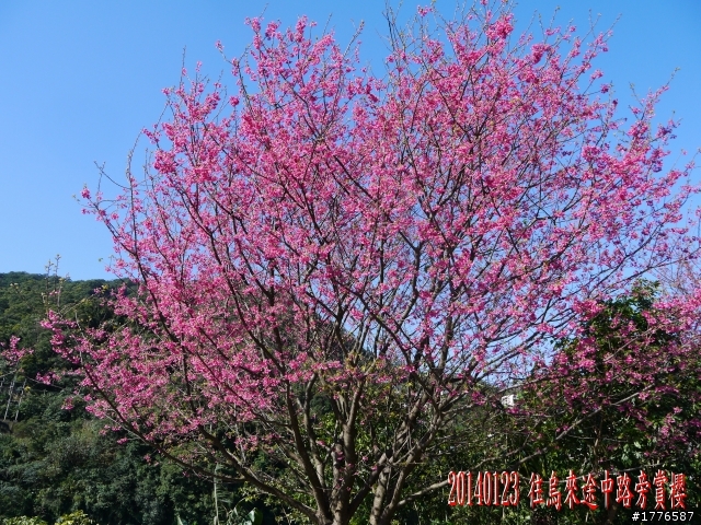 20140123 桶后之旅