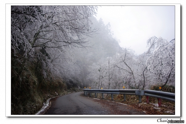 金旺與我的太平山雪景之旅