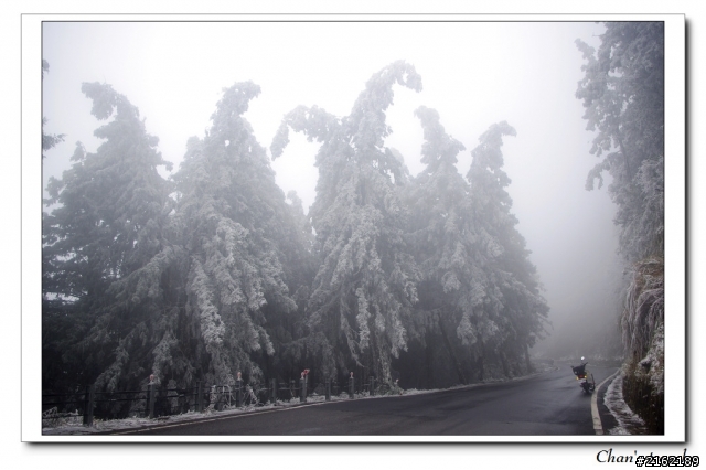 金旺與我的太平山雪景之旅