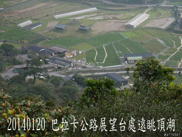 20140120 陽明山花季賞櫻竹子湖賞芋之旅