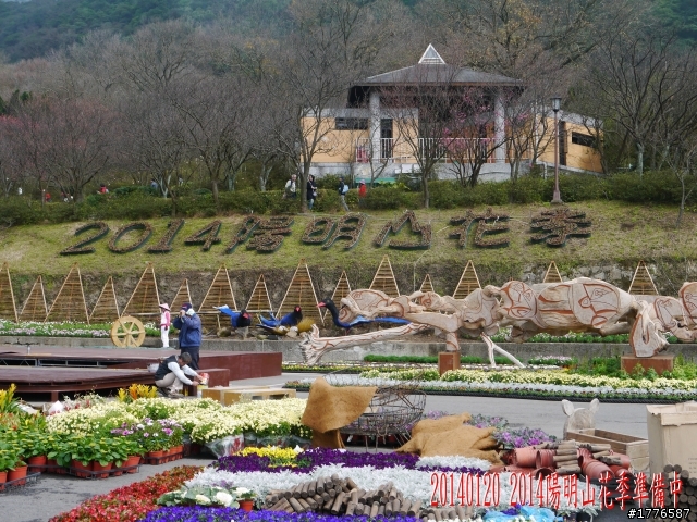 20140120 陽明山花季賞櫻竹子湖賞芋之旅
