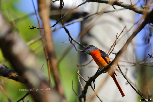 Tamron SP 150-600mm簡易開箱加實拍。
