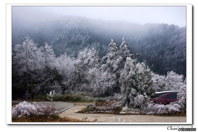 金旺與我的太平山雪景之旅