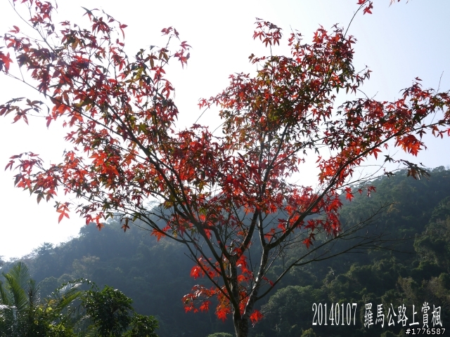 20140107 羅馬公路之旅
