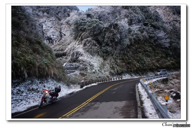 金旺與我的太平山雪景之旅