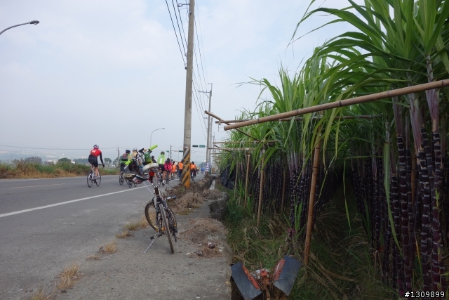 i慢玩,埔里溫泉與花海知性之旅,