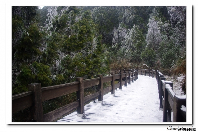 金旺與我的太平山雪景之旅