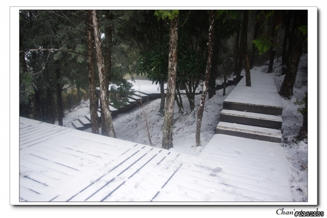 金旺與我的太平山雪景之旅