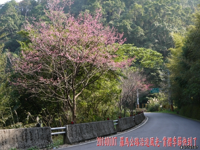 20140107 羅馬公路之旅