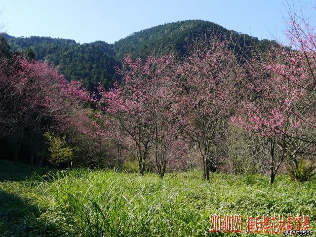 20140123 桶后之旅
