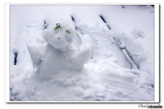 金旺與我的太平山雪景之旅