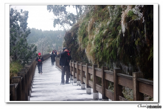 金旺與我的太平山雪景之旅