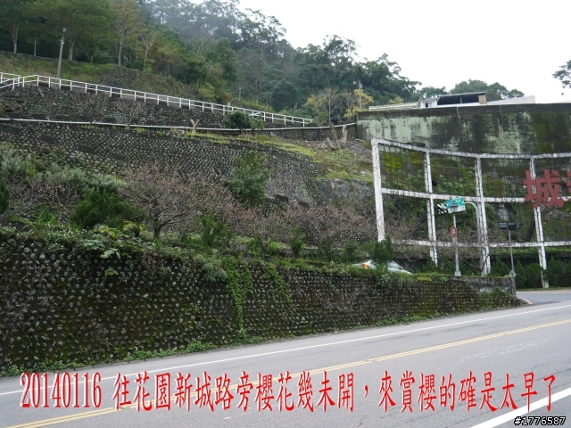 20140116 烏來福山賞櫻賞瀑之旅